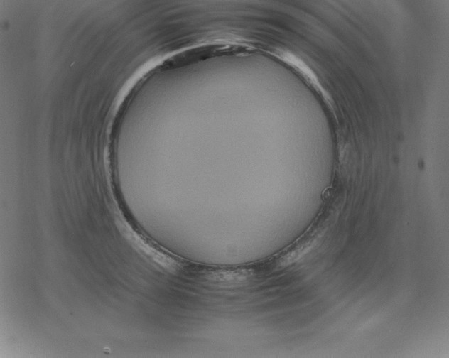 X0000077290947200611101339