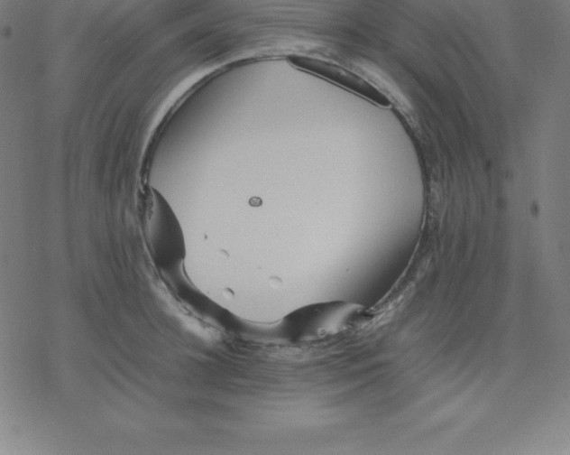 X0000077290948200611101339