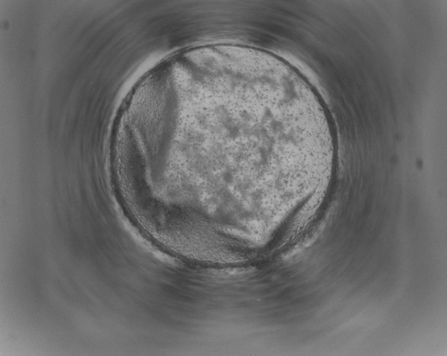 X0000077290949200611101339