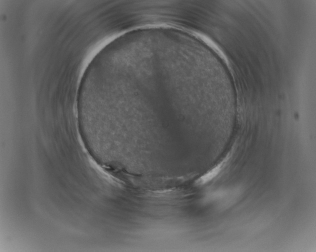 X0000077290951200611101339