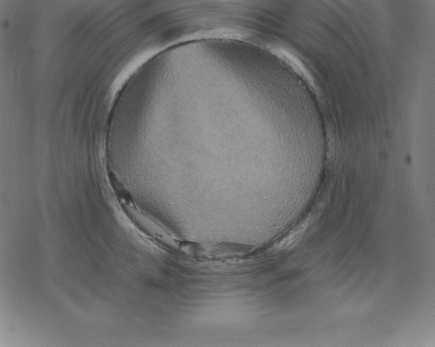 X0000077290952200611101339