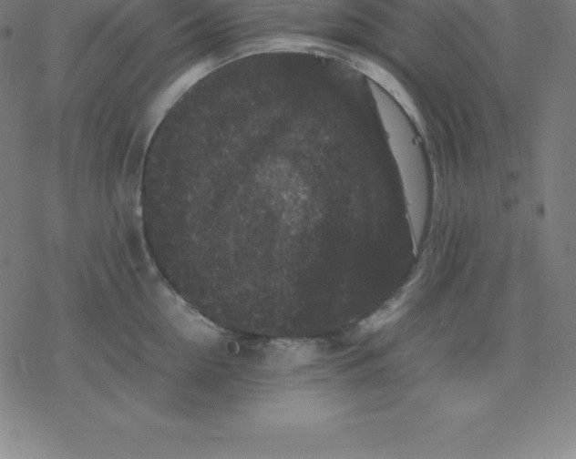 X0000077290954200611101339