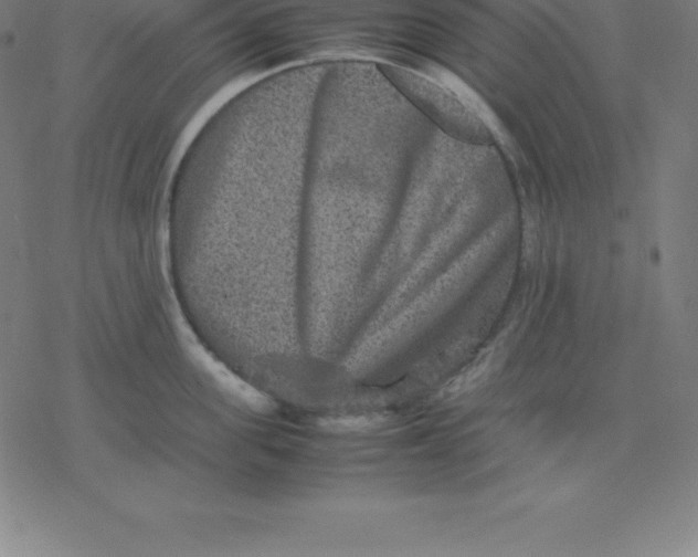 X0000077290955200611101339