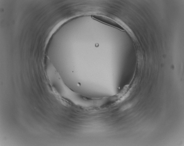 X0000077290956200611101339