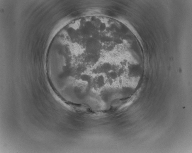 X0000077290957200611101339