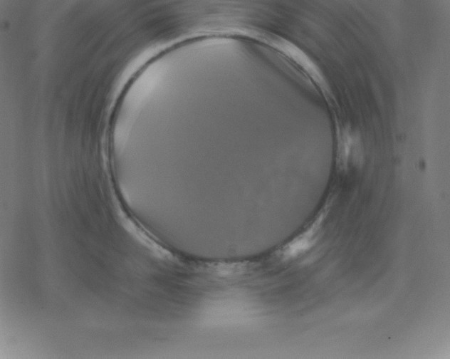 X0000077290958200611101340