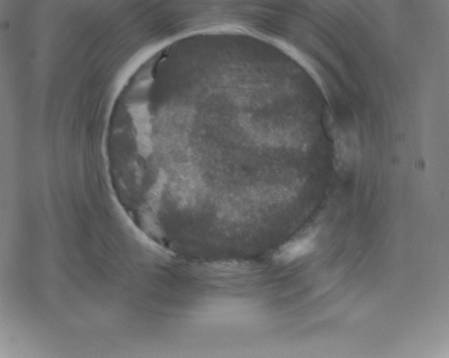 X0000077290959200611101340