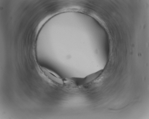 X0000077290960200611101340