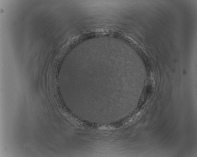 X0000077290961200611101339