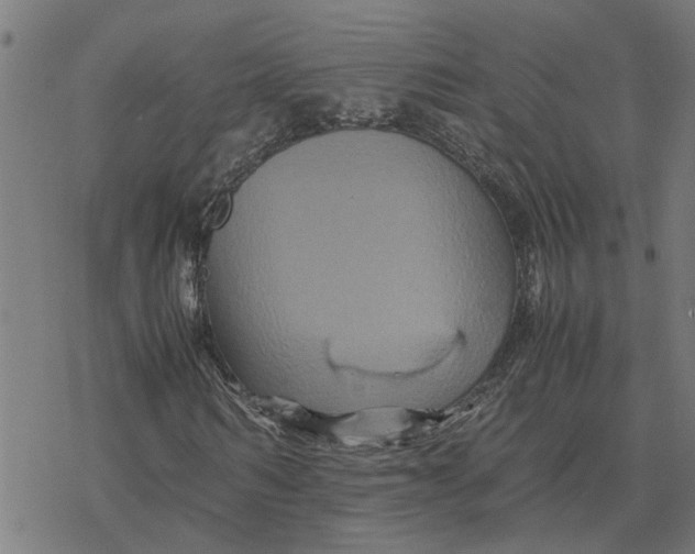 X0000077290962200611101339