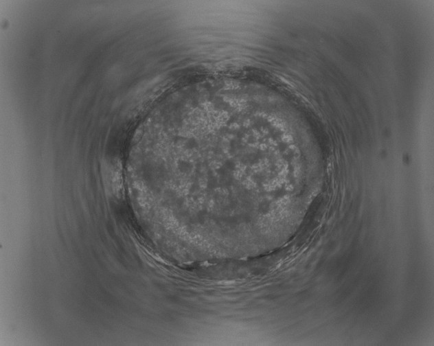 X0000077290963200611101339