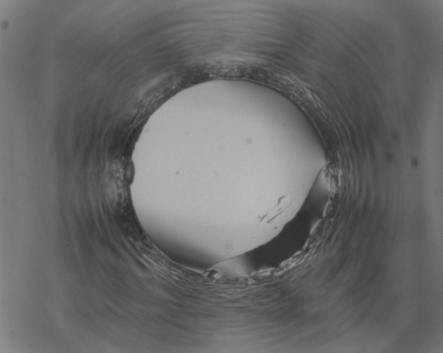 X0000077290964200611101339