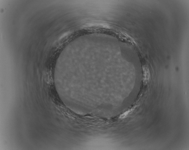 X0000077290965200611101339