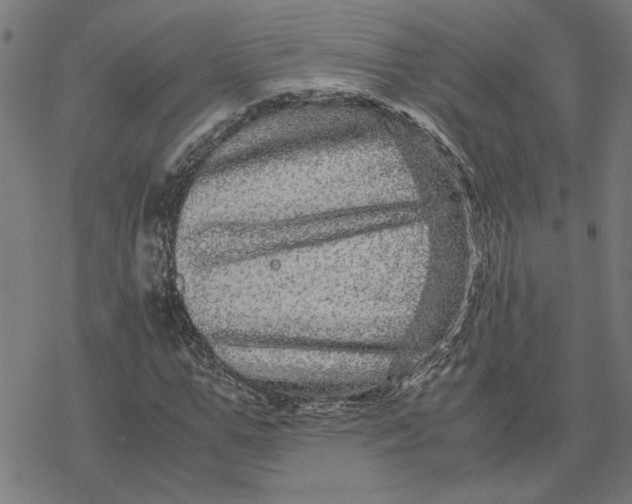 X0000077290967200611101339