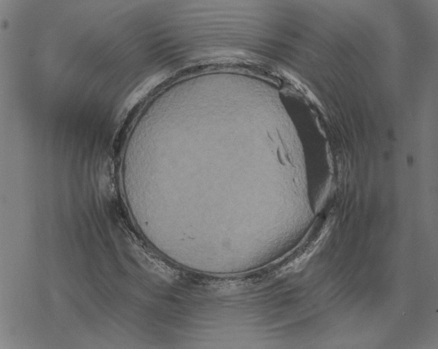 X0000077290970200611101339