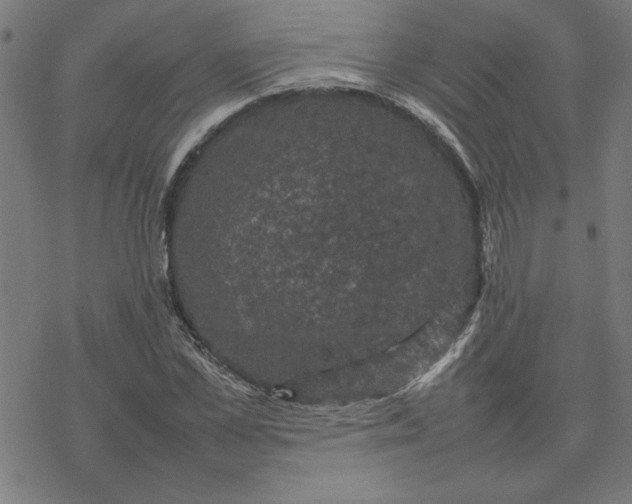 X0000077290973200611101339