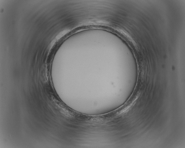 X0000077290974200611101339