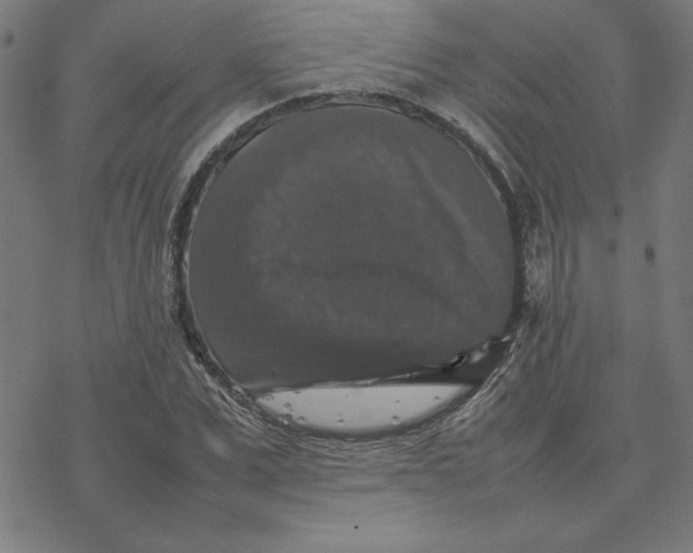 X0000077290975200611101339