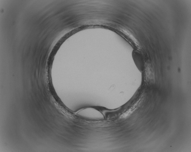 X0000077290976200611101339