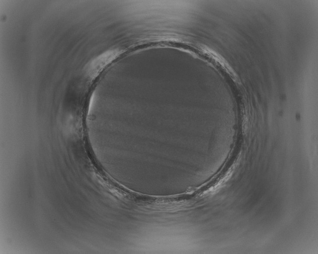 X0000077290977200611101338