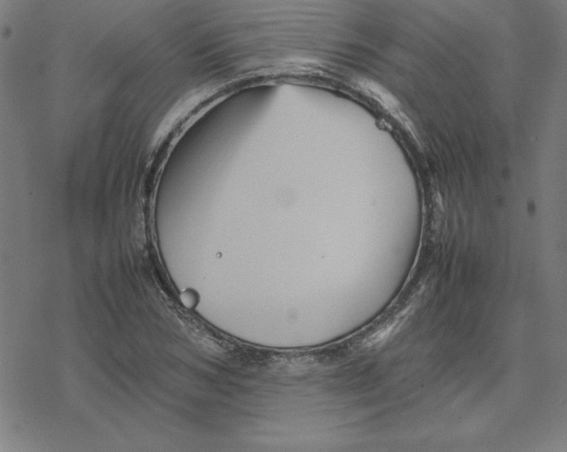 X0000077290978200611101338