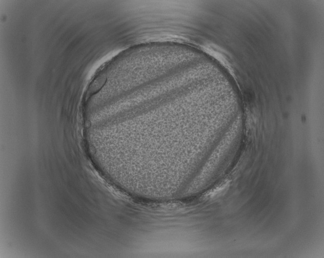 X0000077290979200611101338