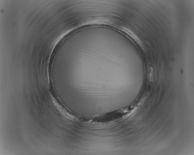 X0000077290980200611101338