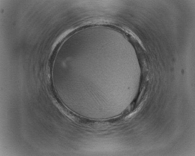 X0000077290981200611101338