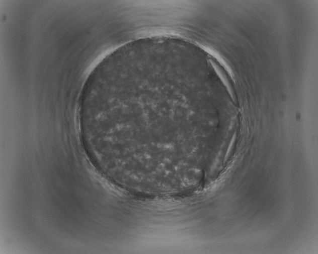 X0000077290983200611101338