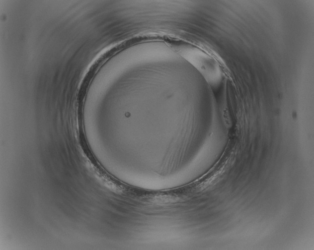 X0000077290984200611101338