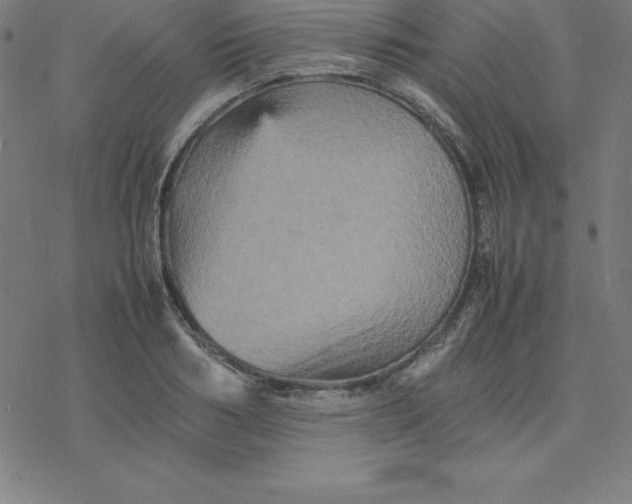 X0000077290986200611101338