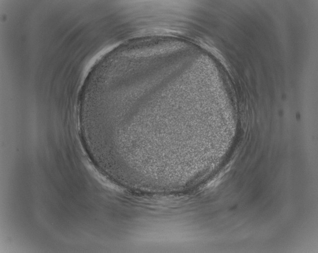 X0000077290987200611101338