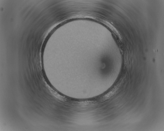 X0000077290988200611101338