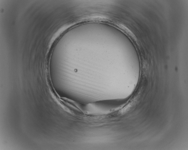 X0000077290989200611101338