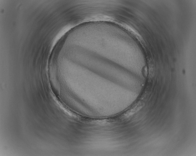 X0000077290990200611101338