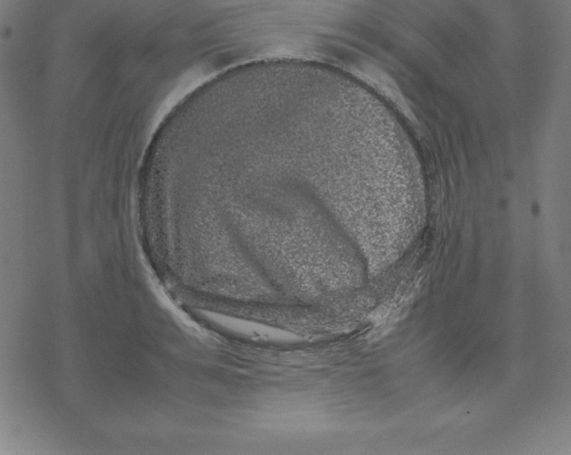 X0000077290991200611101338