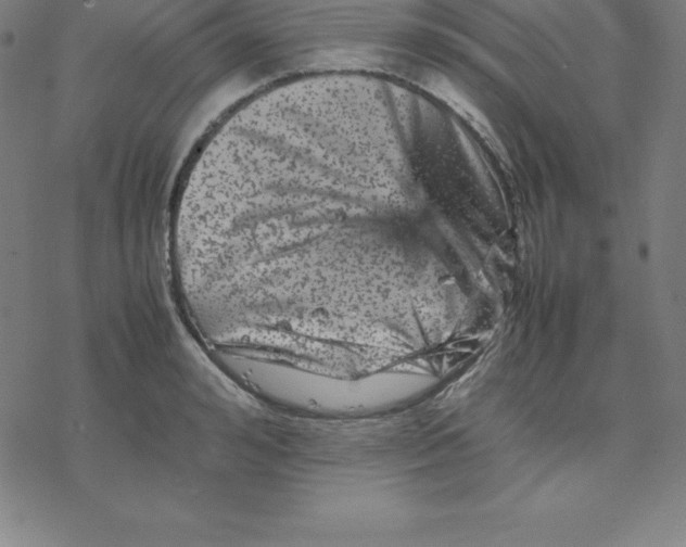 X0000077290992200611101338