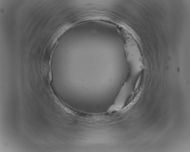 X0000077290993200611101338