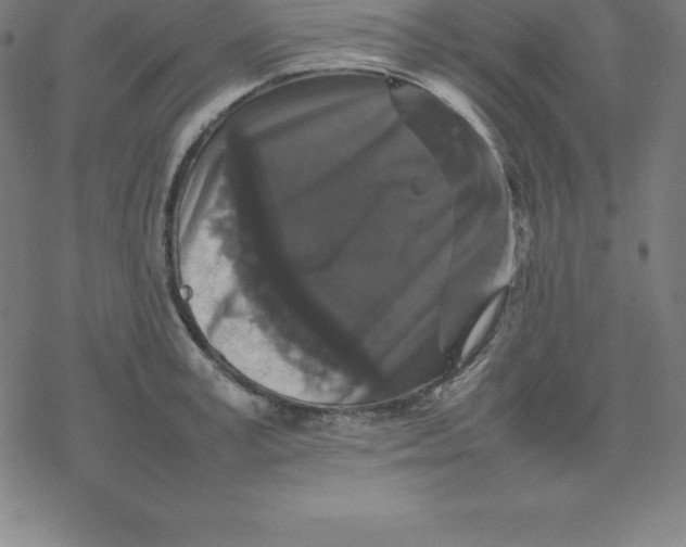 X0000077290995200611101338