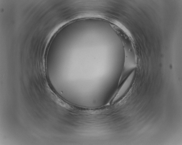 X0000077290996200611101338