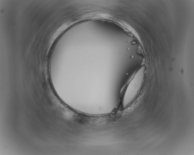 X0000077290997200611101338