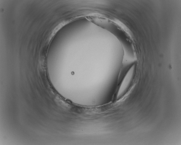 X0000077291001200611101338