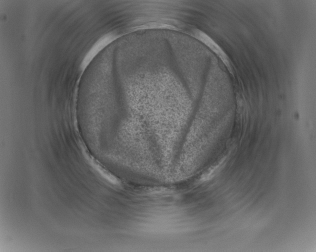 X0000077291002200611101338