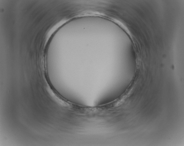 X0000077291003200611101338