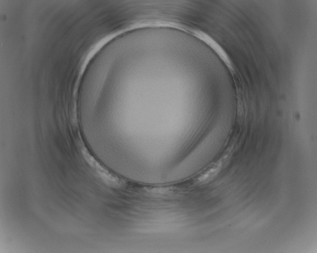 X0000077291004200611101338