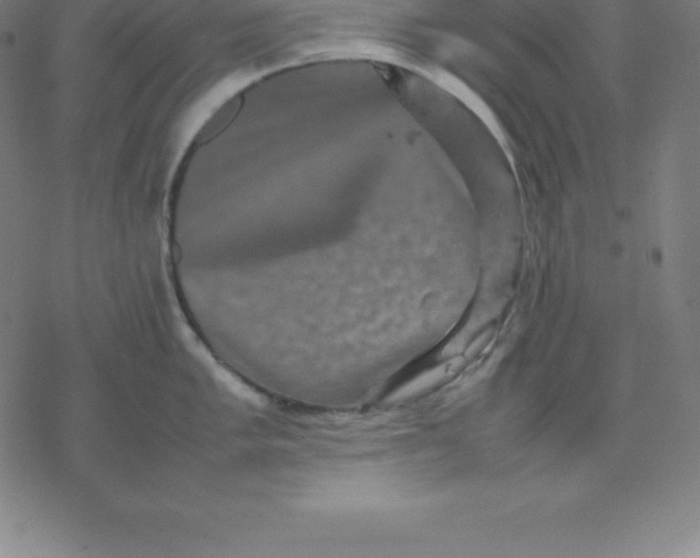 X0000077291005200611101338