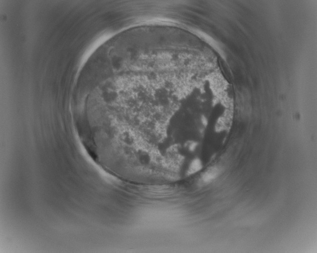 X0000077291007200611101338