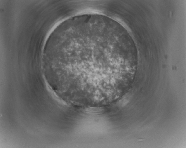 X0000077291008200611101338