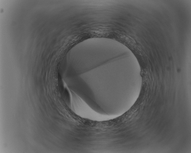 X0000077291009200611101337