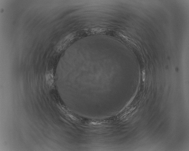 X0000077291011200611101337